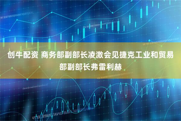 创牛配资 商务部副部长凌激会见捷克工业和贸易部副部长弗雷利赫