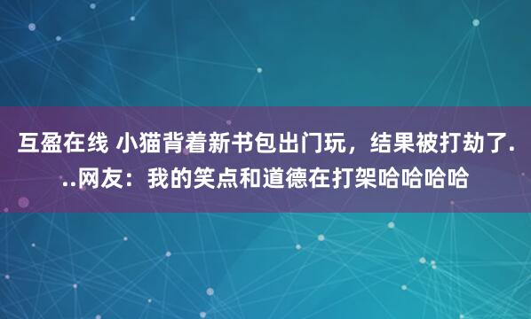 互盈在线 小猫背着新书包出门玩，结果被打劫了...网友：我的笑点和道德在打架哈哈哈哈