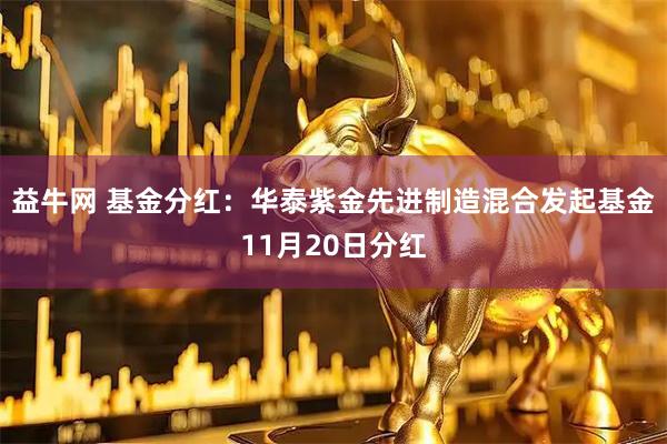 益牛网 基金分红：华泰紫金先进制造混合发起基金11月20日分红