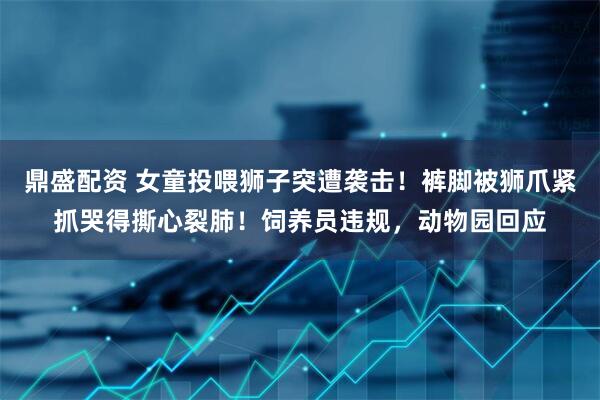 鼎盛配资 女童投喂狮子突遭袭击！裤脚被狮爪紧抓哭得撕心裂肺！饲养员违规，动物园回应