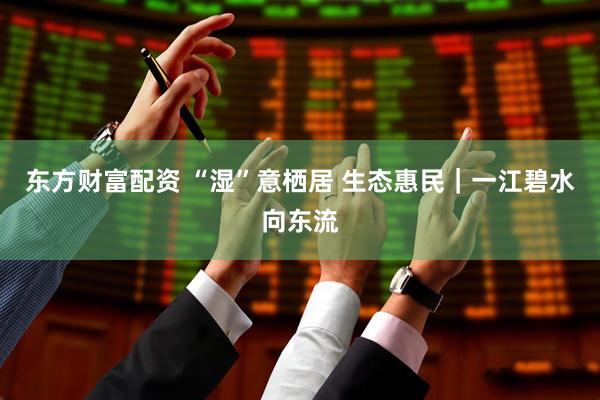 东方财富配资 “湿”意栖居 生态惠民｜一江碧水向东流